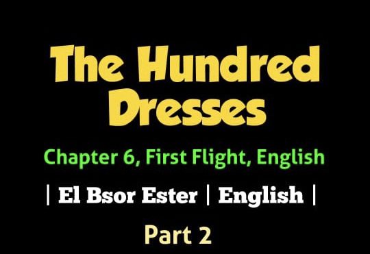 Class 10 English First Flight Notes For The Hundred Dresses-I