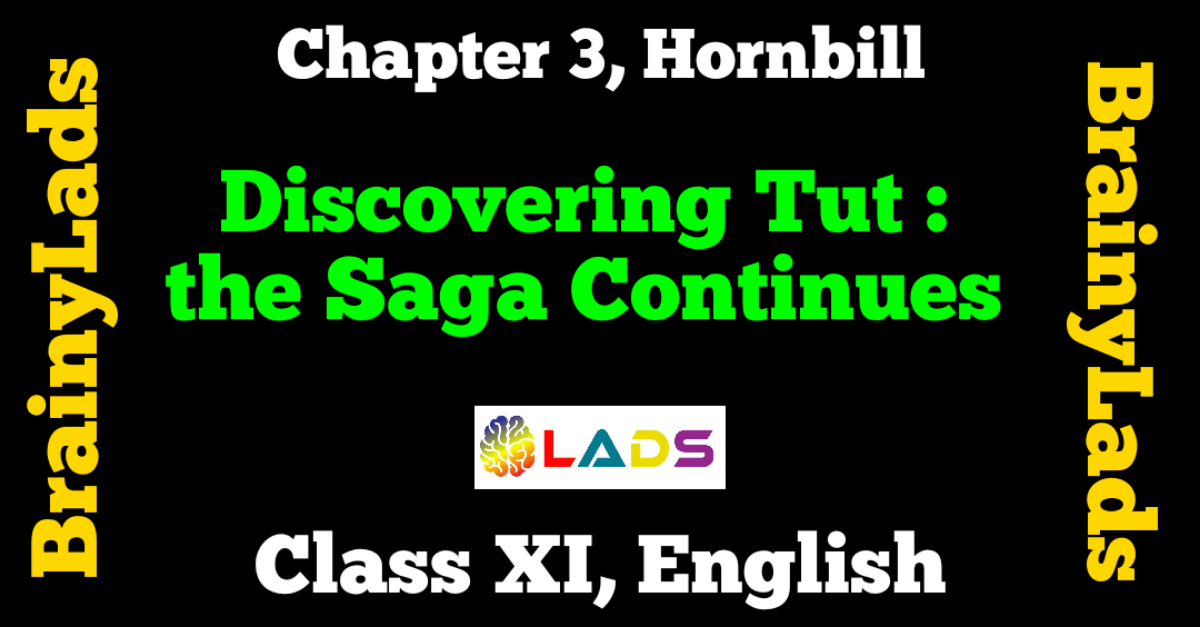 Discovering Tut The Saga Continues Class 11