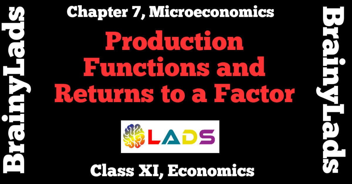 Production Function And Returns To A Factor