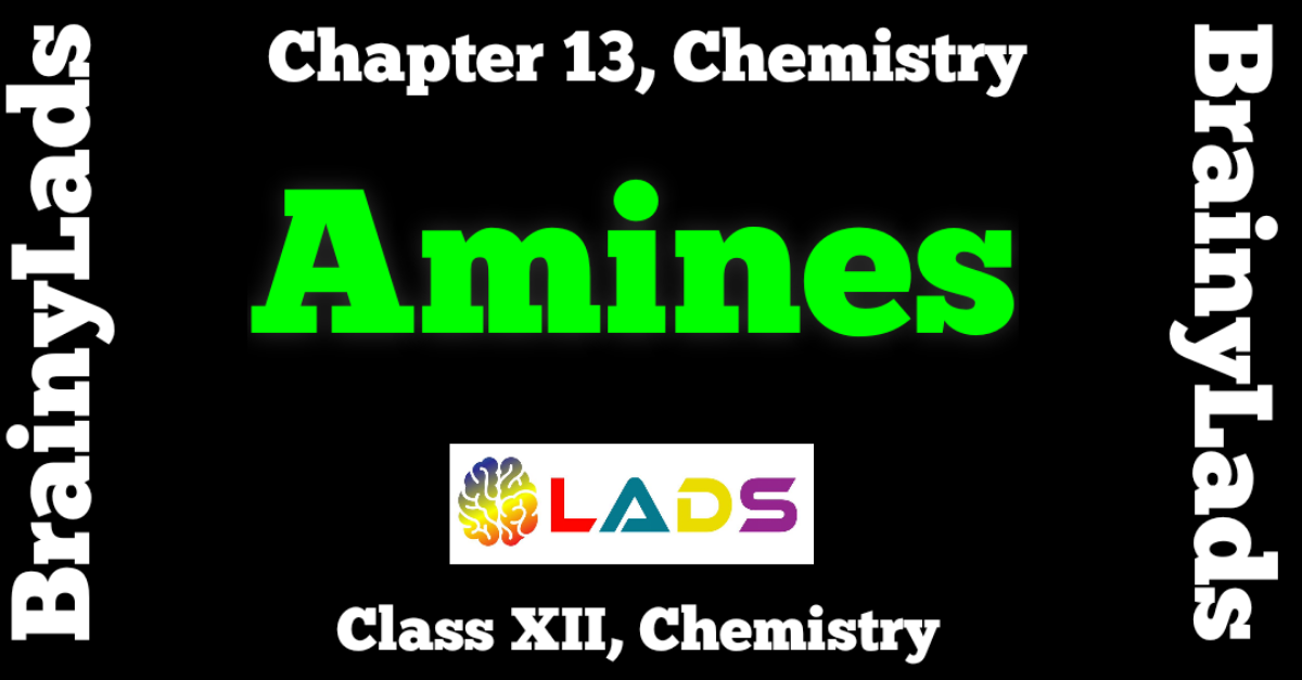 Amines Class 12