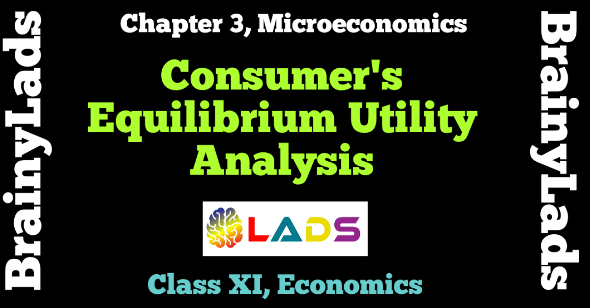Consumer Equilibrium Utility Analysis