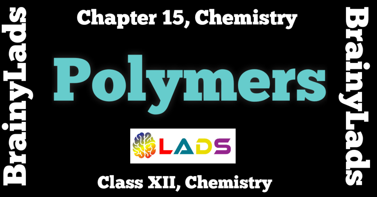 Polymers Class 12