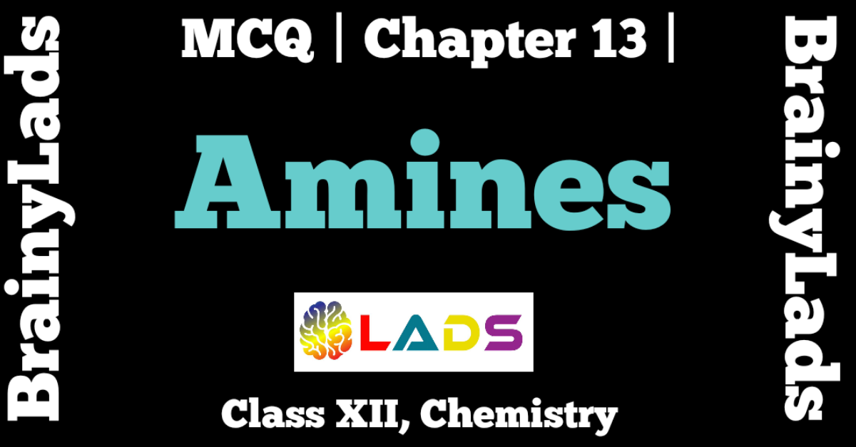MCQ of Amines