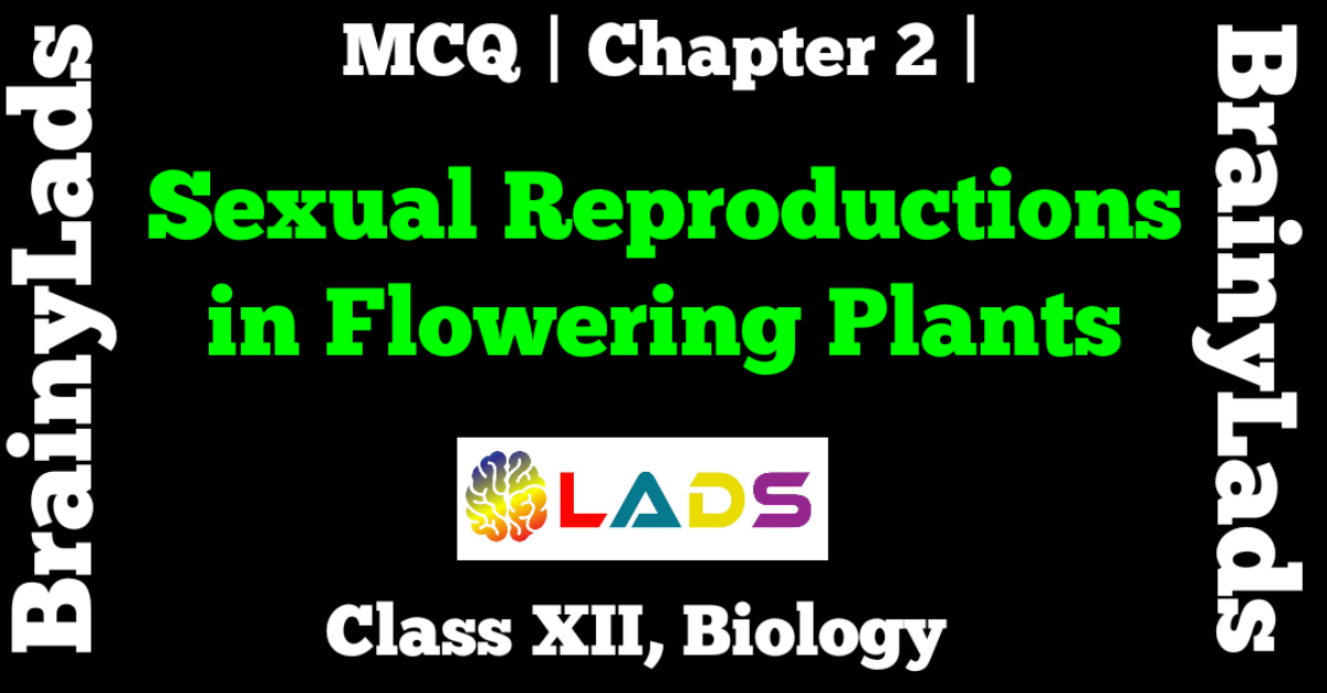 MCQ Of Sexual Reproduction in Flowering Plants