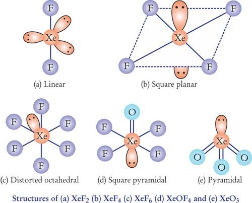 P Block Elements Class 12 Notes