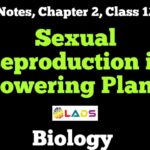 Sexual Reproduction in Flowering Plants