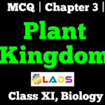 MCQ Of Plant Kingdom