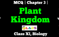 MCQ Of Plant Kingdom