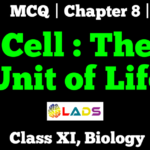MCQ Of Cell The Unit of Life