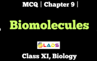 MCQ Of Biomolecules Class 11