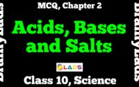 MCQ of Acids Bases and Salts