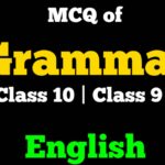 MCQ of Grammar