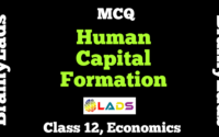 MCQ of Human Capital Formation