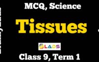 MCQ of Tissues