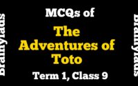 Extracts of The Adventures of Toto