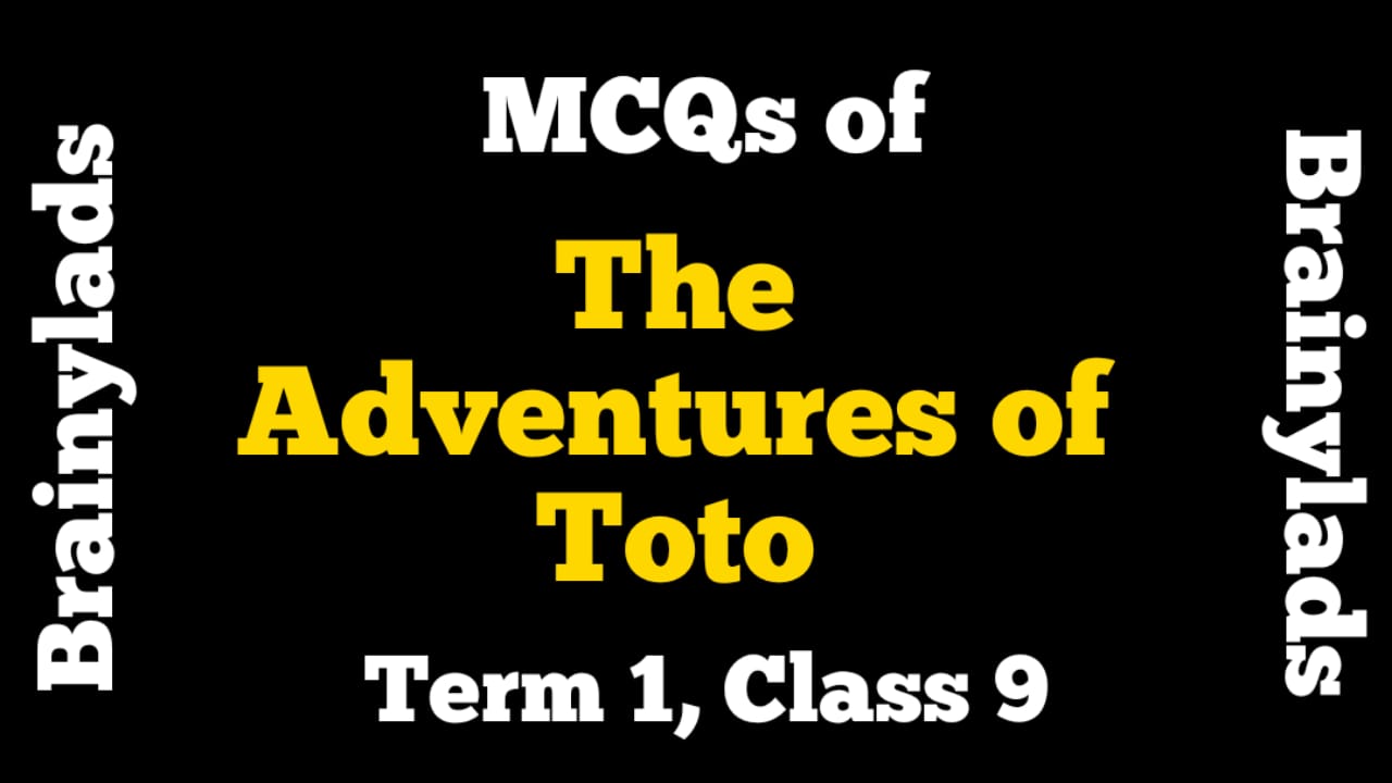 extracts-of-the-adventures-of-toto-mcq-of-the-adventures-of-toto