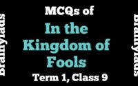 Extracts of In the Kingdom of Fools