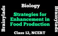 Strategies for Enhancement in Food Production Class 12