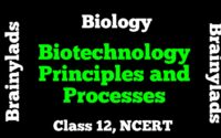 Biotechnology Principles and Processes Class 12