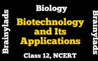 Biotechnology and its Applications Class 12