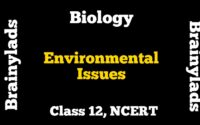 Environmental Issues Class 12