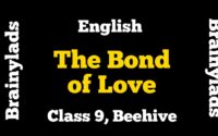 The Bond of Love Class 9