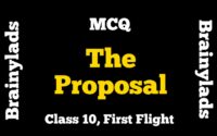 Extracts of The Proposal