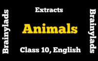 Extracts of Animals