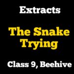 Extracts of The Snake Trying