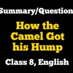 How the Camel Got his Hump Class 8