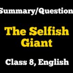 The Selfish Giant Summary