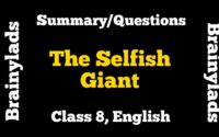 The Selfish Giant Summary