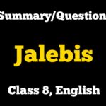 Jalebis Summary Class 8