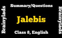 Jalebis Summary Class 8