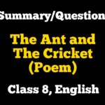 The Ant and The Cricket Poem Class 8 English