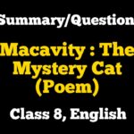 Macavity The Mystery Cat Class 8 Poem