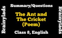 The Ant and The Cricket Poem Class 8 English