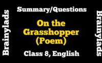 On the Grasshopper and Cricket Poem Summary Class 8