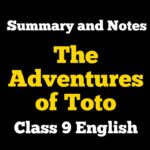 The Adventures of Toto Summary