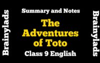 The Adventures of Toto Summary