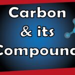 Corbon and Its Compounds Class 10 Notes