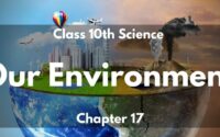 Our Environment Class 10