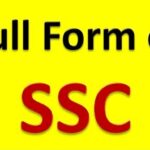 SSC Full Form