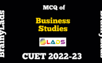 MCQ Business Studies CUET